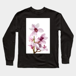 White and pink orchids Long Sleeve T-Shirt